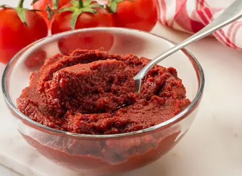 تصویر 4 از خرید رب گوجه فرنگی قوطی 800 گرمی + قیمت فروش استثنایی
